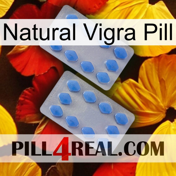 Natural Vigra Pill 20.jpg